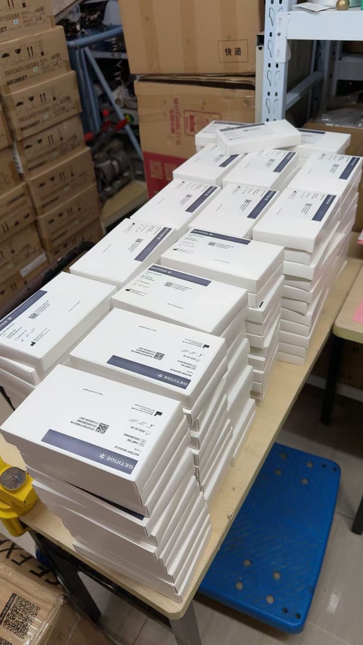 Maquet/Getinge Battery Module 6487180 For Servo I / Servo S New Original